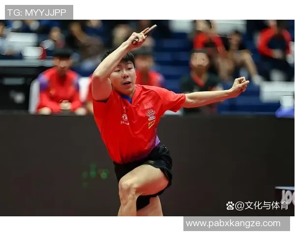 杭州乒乓球队在锦标赛中的个人能力展现与战术分析