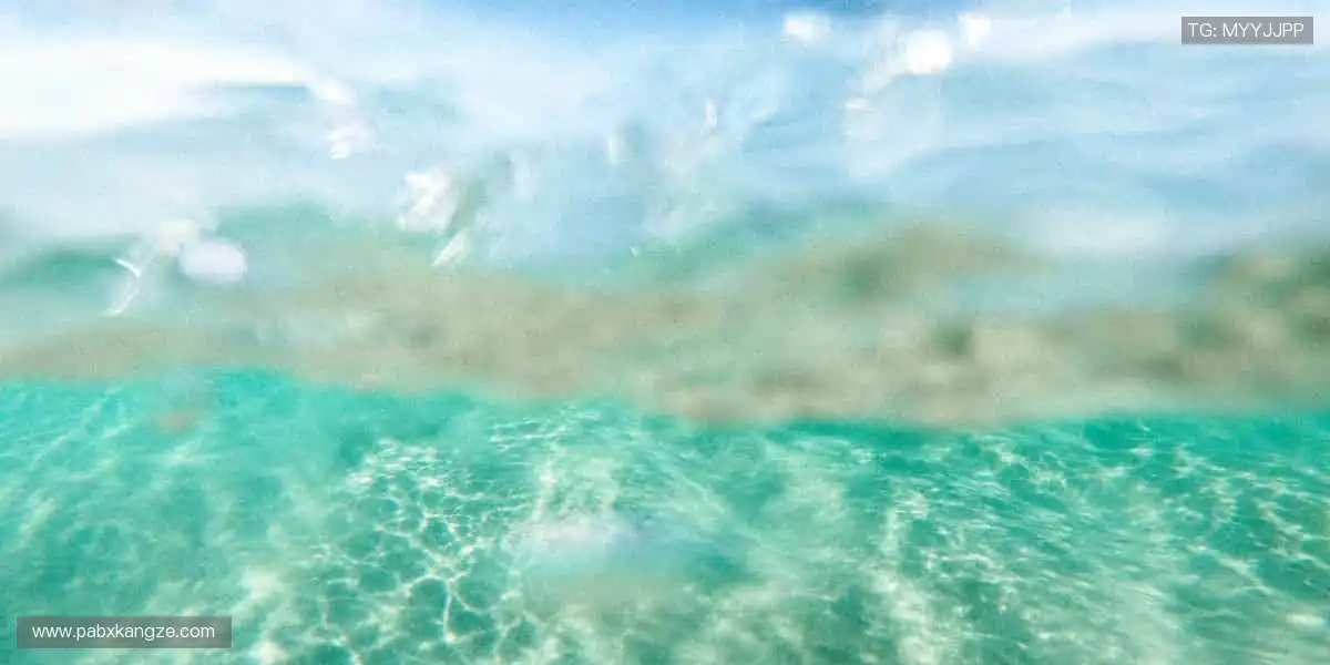 🎥 高清直播，实时互动！随时随地，不错过每一个精彩瞬间📱⚽️